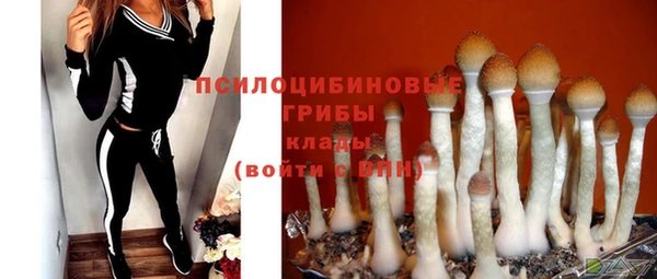MDMA Белокуриха