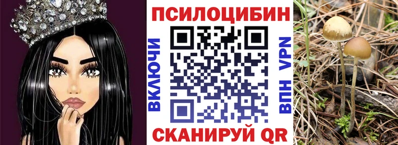 Псилоцибиновые грибы ЛСД KRAKEN маркетплейс Вуктыл купить наркотики цена